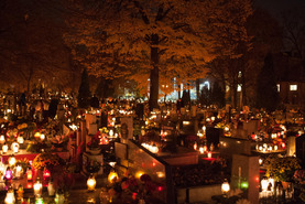 Ogłoszenia duszpasterskie na XXX Niedzielę Zwykłą 27.10.2024r.